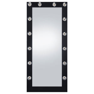 Zayan 32 x 71 Inch Floor Mirror LED Lighting Black Gloss