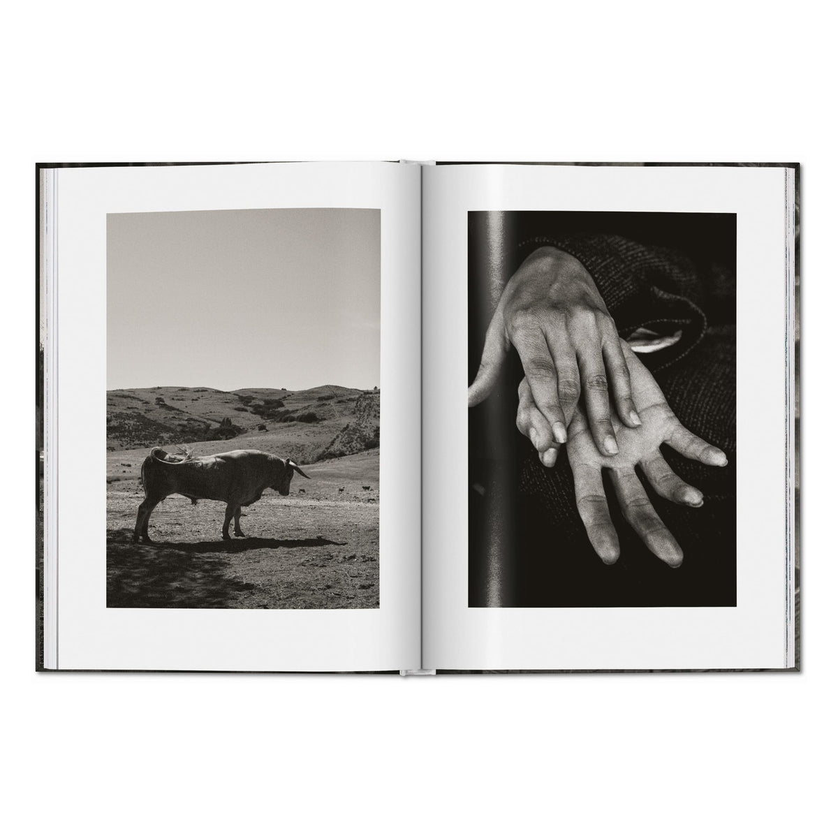 Peter Lindbergh. Untold Stories (English)
