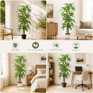 Dracaena Artificial Plant Indoor - 5.5FT