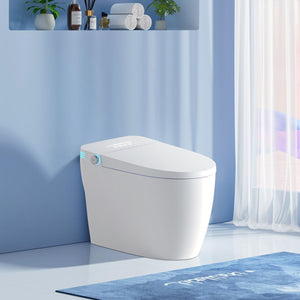 Tankless Smart Toilet With Bidet Built In
