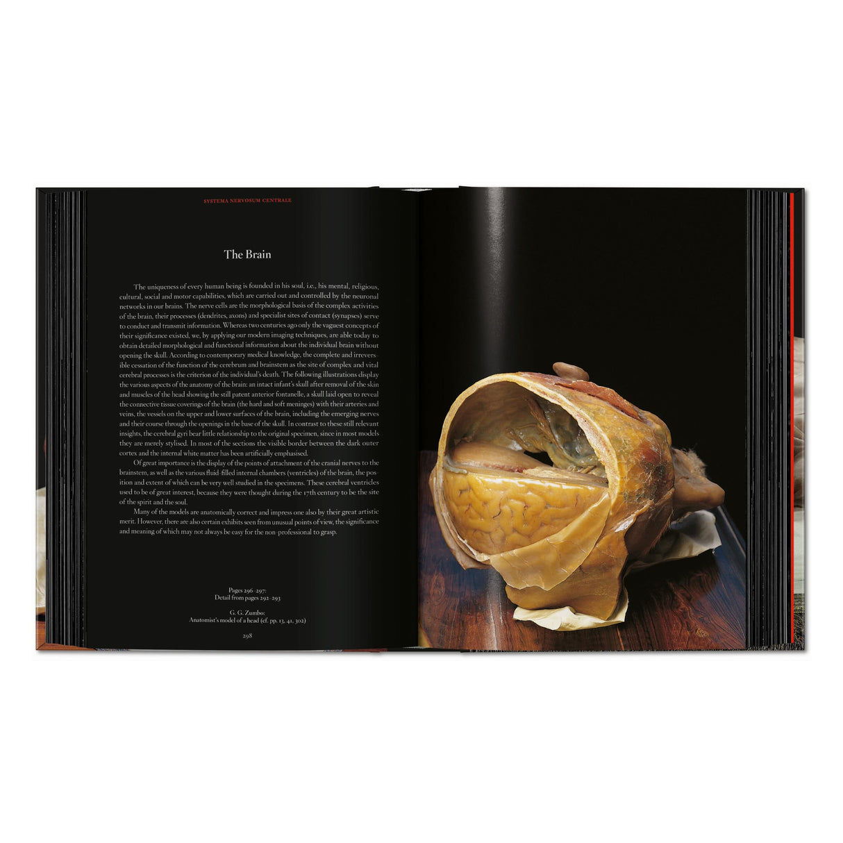 Anatomical Waxes. 45th Ed. (German, French, English)