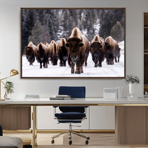 Bison Wall Art Canvas Print- Bison Herd Canvas Wall Art –