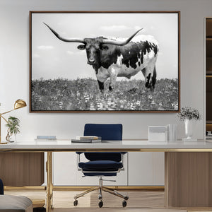 Texas Black White Highland Longhorn Cow Wall Art Canvas