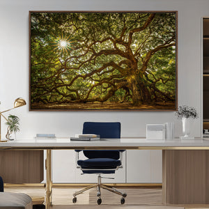 Ancient Angel Oak Tree Art Sunburst Canvas Print-