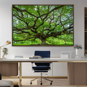 Angel Oak Tree Wall Art Canvas Print – Framed Majestic