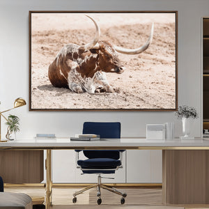 Texas Longhorn Wall Art Canvas Print – Framed Resting Bull