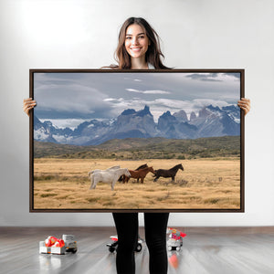 Grand Teton Park Wild Horses Wall Art Canvas Print – Framed