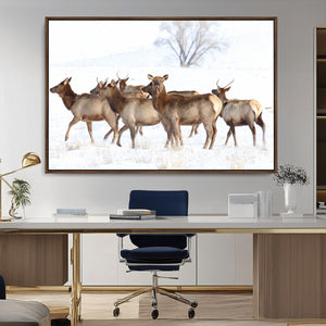 Winter Elk Scene Wall Art Canvas Print – Framed Wildlife