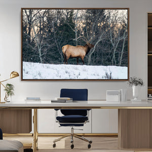 Wild Elk Wall Art Canvas Print – Framed Winter Wildlife