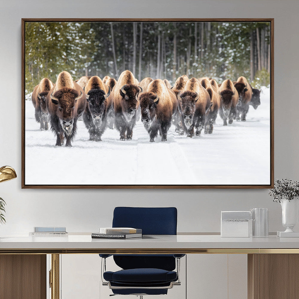 American Bison Herd Wall Art Canvas Print – Powerful Winter