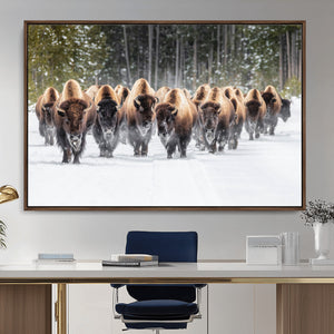American Bison Herd Wall Art Canvas Print – Powerful Winter