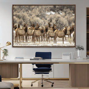Majestic Elk Herd Winter Canvas, Elk Herd Winter Landscape