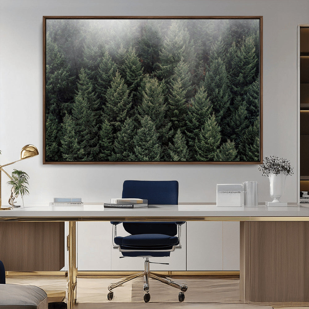 Dense Evergreen Forest Misty Morning Fog Pine Trees Woodland