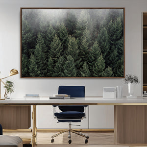 Dense Evergreen Forest Misty Morning Fog Pine Trees Woodland