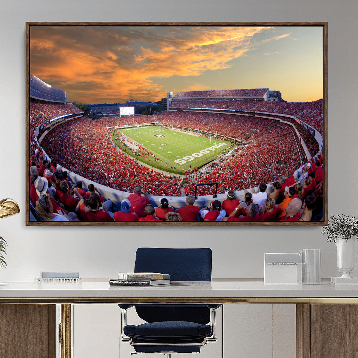 Dooley Stadium Wall Art, Sports Arena Canvas Print, Dooley