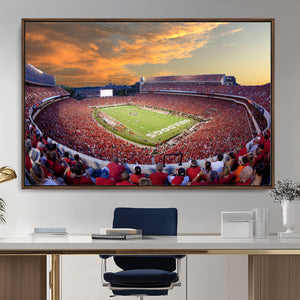 Dooley Stadium Wall Art, Sports Arena Canvas Print, Dooley