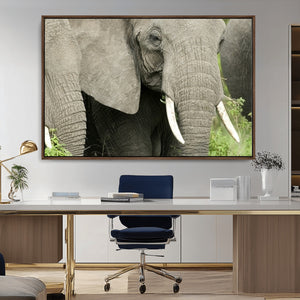 Wild Elephant Wall Art Canvas Print