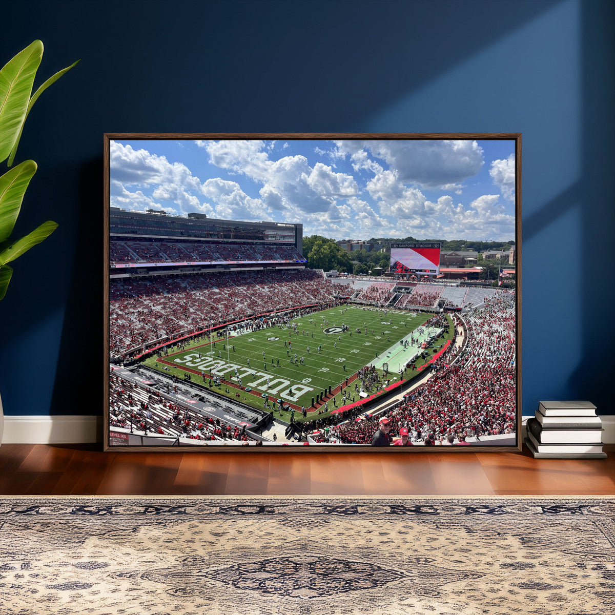 Georgia Bulldogs Stadium Wall Art Canvas Print, Sanford