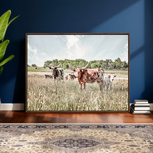 Texas Longhorn Cattle Wall Art Canvas Print, Rustic Ranch