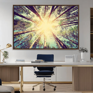 Tree and Sunshine Canvas Print