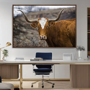 Texas Longhorn Canvas Wall Art - Longhorn Steer Canvas Wall