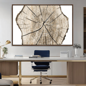 Abstract Wood Tree Ring Wall Art - Ready to Hang Minimalist