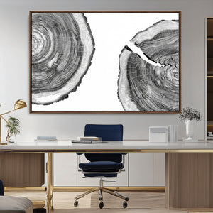 Abstract Large Tree Rings – Minimalist Black and White Wood