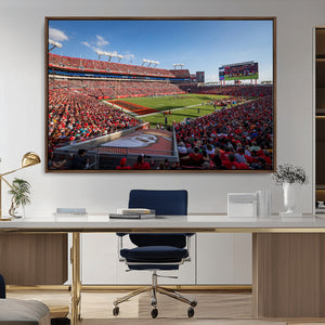 Florida Tampa Raymond James Stadium Wall Art Canvas Print -