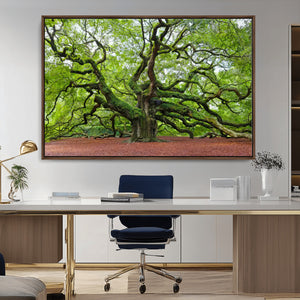 Framed Angel Oak Tree Wall Art - 3-Panel Canvas Prints,