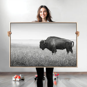 Bison in Prairie Wall Art Canvas Print – Framed Rustic