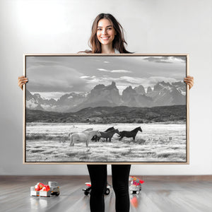 Wild Horses Wall Art Canvas Print – Framed Black and White