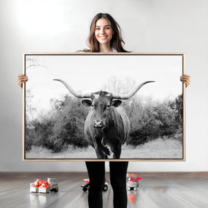 Longhorn Photography Wall Art Canvas Print – Framed Western