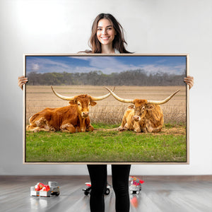 Longhorn Wall Art Canvas Print – Framed Cozy Ranch Vibes