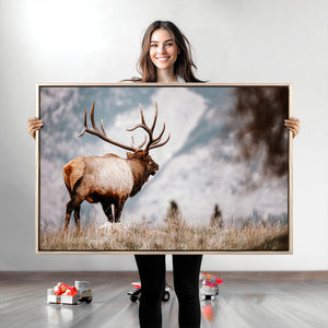 Elk Photography Wall Art Canvas Print – Framed Mountain