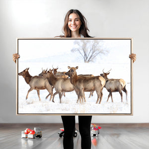 Winter Elk Scene Wall Art Canvas Print – Framed Wildlife