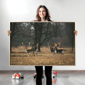Deer Wall Art Canvas Print – Framed Rustic Wildlife Art