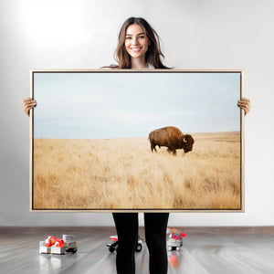 Buffalo Wall Art Canvas Print – Framed Western Wildlife