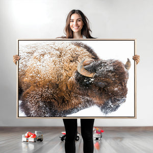 Snowy Buffalo Wall Art Canvas Print – Framed Rustic Lodge