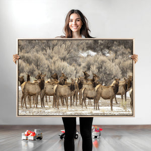 Majestic Elk Herd Winter Canvas, Elk Herd Winter Landscape