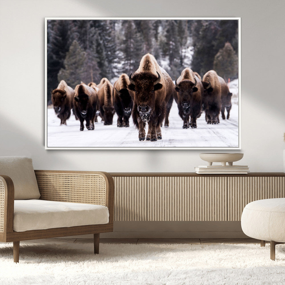 Bison Wall Art Canvas Print- Bison Herd Canvas Wall Art –