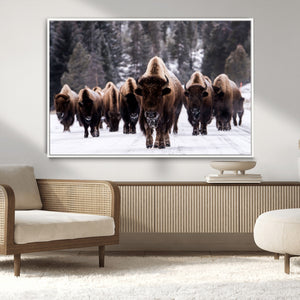 Bison Wall Art Canvas Print- Bison Herd Canvas Wall Art –