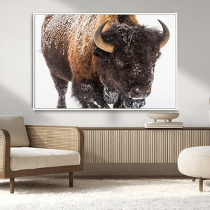 Bison Wall Art Canvas Print For Farmhouse, Wild Animal Wall