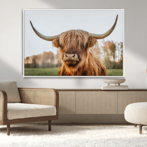 Highland Cow Animal Scottish Cattle Art Print Farmhouse Wall