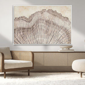 Tree Ring Wall Art Triptych, Rustic Wood Ring Canvas Print,