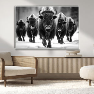 American Bison Art | Buffalo Herd Wall Art Canvas Print, BW