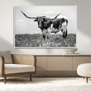 Texas Black White Highland Longhorn Cow Wall Art Canvas