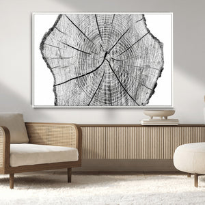 Rustic Tree Ring Wall Art Canvas Print – Framed and Ready to