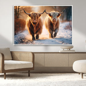 Scottish Highland Cow Horn Farm Wall Art Canvas Print