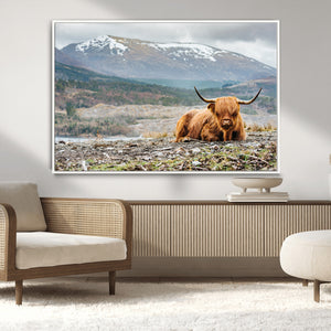 Highland Cow Horn Farm Wall Art Canvas Print