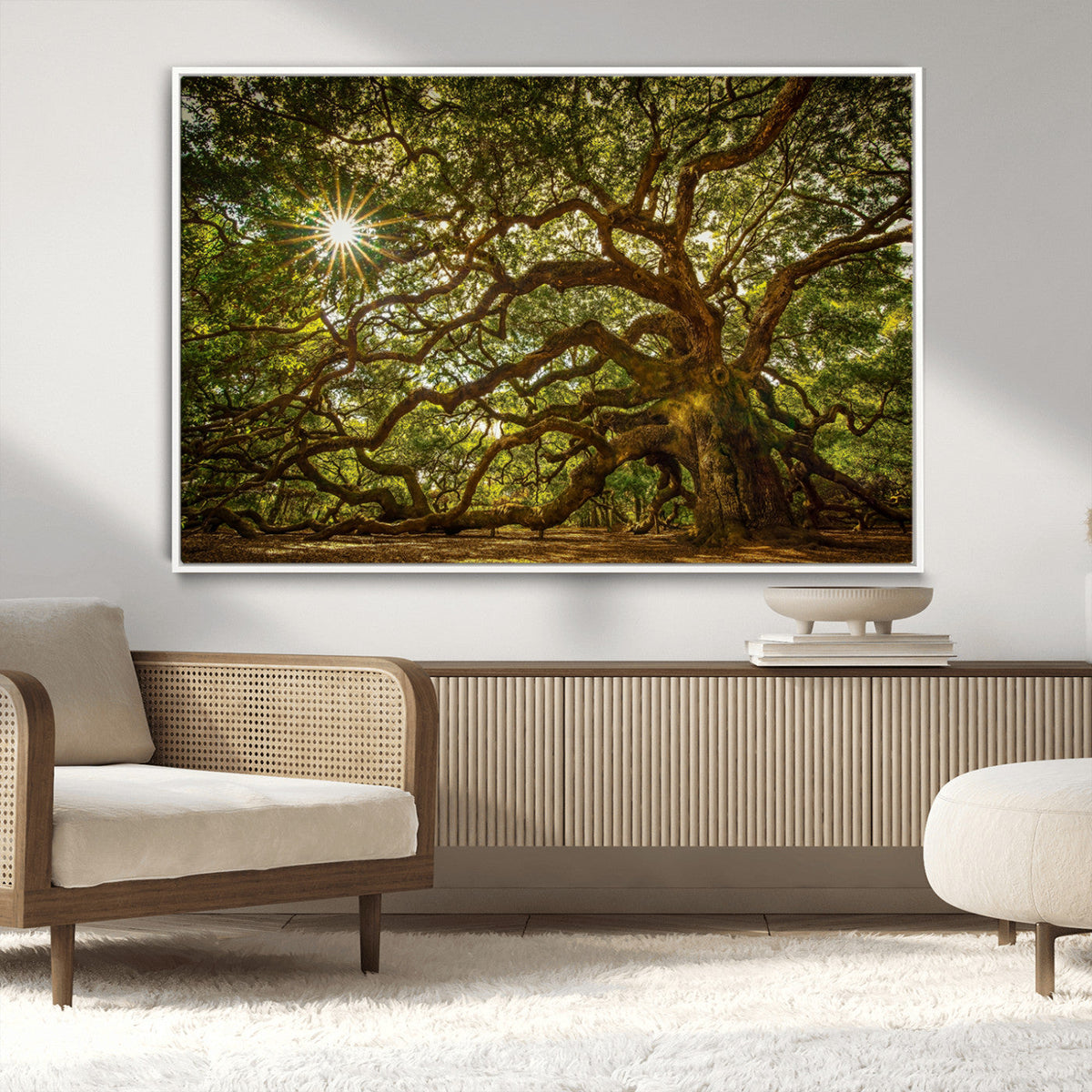 Ancient Angel Oak Tree Art Sunburst Canvas Print-